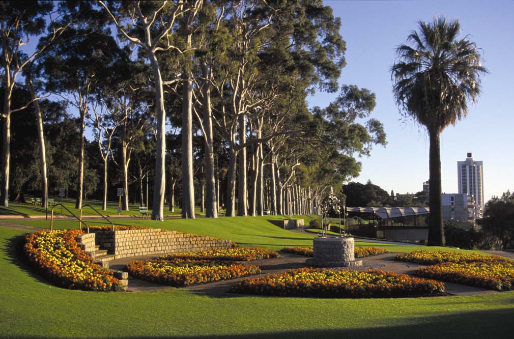 Kings park perth asian photographers